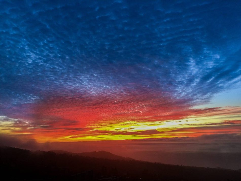 Dan por finalizada la erupción volcánica de La Palma