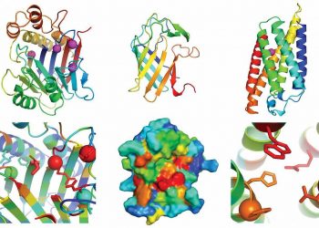 Estos son los avances científicos más importantes de 2021 según la revista ‘Science’