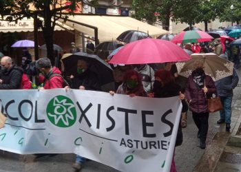 Asturias se tiñe de verde contra la contaminación industrial y por una transición ecológica justa