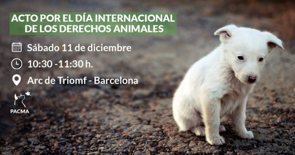 PACMA organiza un homenaje a todos los animales maltratados en el marco del Día Internacional de los Derechos de los Animales