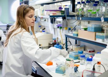 Pedro Fernández anima a los centros educativos andaluces a sumarse a la Alianza Steam para promover la presencia de la mujer en la Ciencia