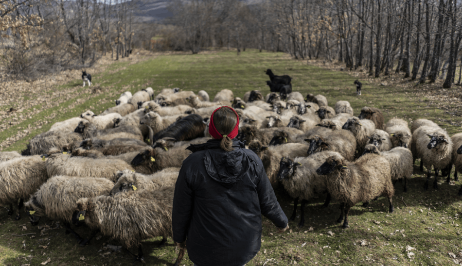 Amigos de la Tierra insta a las comunidades autónomas a establecer una moratoria a la ganadería industrial: próxima parada, Valencia