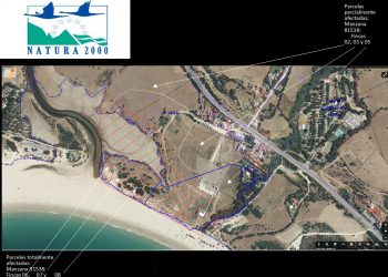 Los Verdes de Europa en Tarifa se preguntan si de una vez por todas las autoridades cumplirán con la sentencia de Valdevaqueros