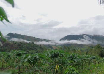 Un líder indígena asesinado y otros cuatro desaparecidos en Perú