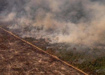 Alertan aumento de deforestación de tierras indígenas en Brasil