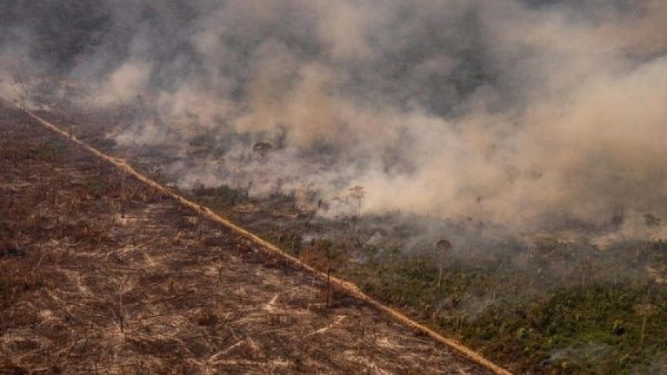 Alertan aumento de deforestación de tierras indígenas en Brasil