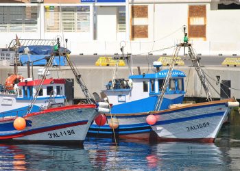 Podemos demanda políticas públicas que “aseguren” la viabilidad del sector pesquero andaluz