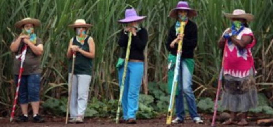 Red de Género y Medio ambiente pide no desaparecer instituciones medioambientales en México