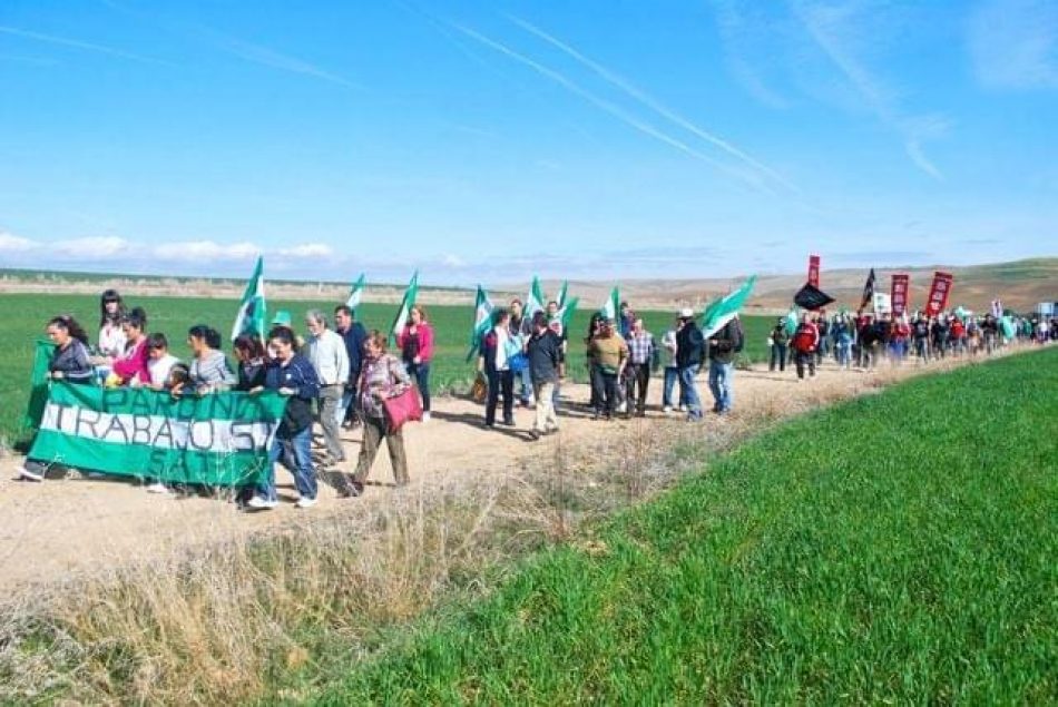 El SAT reocupa por onceava vez la finca Somonte