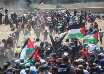 Palestina insta a la ONU a detener crímenes israelíes