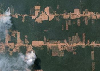 Los datos abiertos y la crisis medioambiental en Brasil: Caminando por el fuego