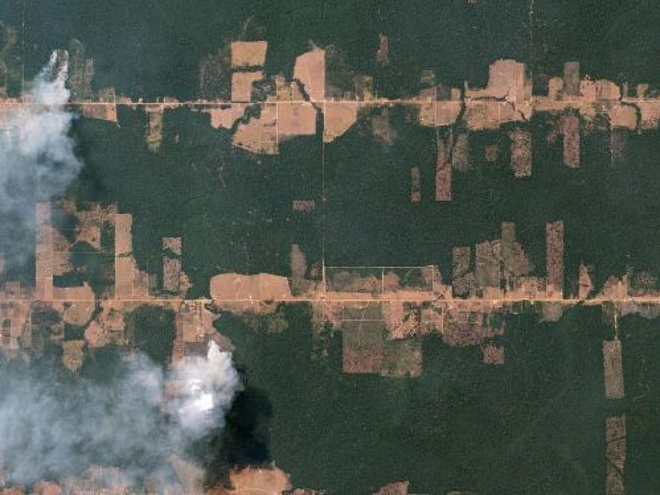 Los datos abiertos y la crisis medioambiental en Brasil: Caminando por el fuego