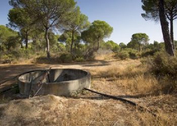 Alianza Verde pide al Gobierno medidas contundentes y urgentes contra el robo de agua en Doñana, tras la querella de la Fiscalía contra la Casa de Alba