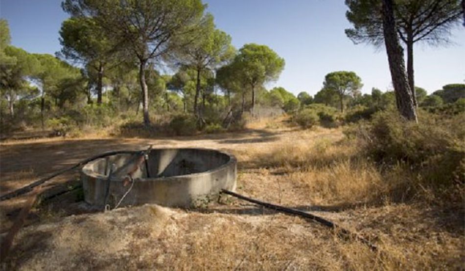 Unidas Podemos por Andalucía hará todo lo posible por evitar la agresión a Doñana, en «serio riesgo de desertificación”