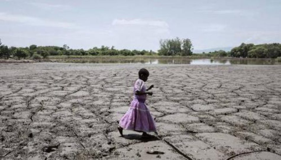 Argentina: Suelos saludables para una vida saludable