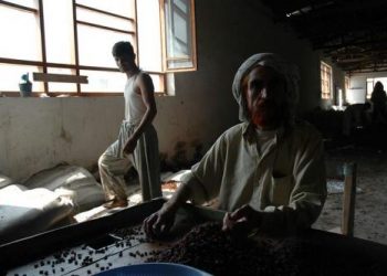 Matar de hambre al pueblo de Afganistán: ¿una determinación de los países ricos de occidente?