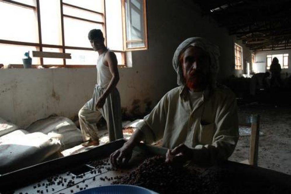 Matar de hambre al pueblo de Afganistán: ¿una determinación de los países ricos de occidente?