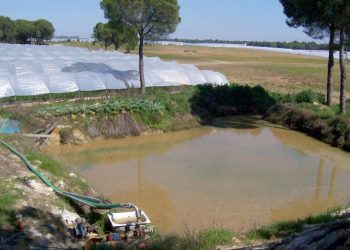 Valero pedirá a la UE un “control integral sobre Doñana para blindarla de las amenazas que comprometen su preservación”