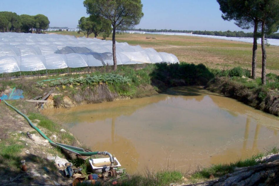 Valero pedirá a la UE un “control integral sobre Doñana para blindarla de las amenazas que comprometen su preservación”