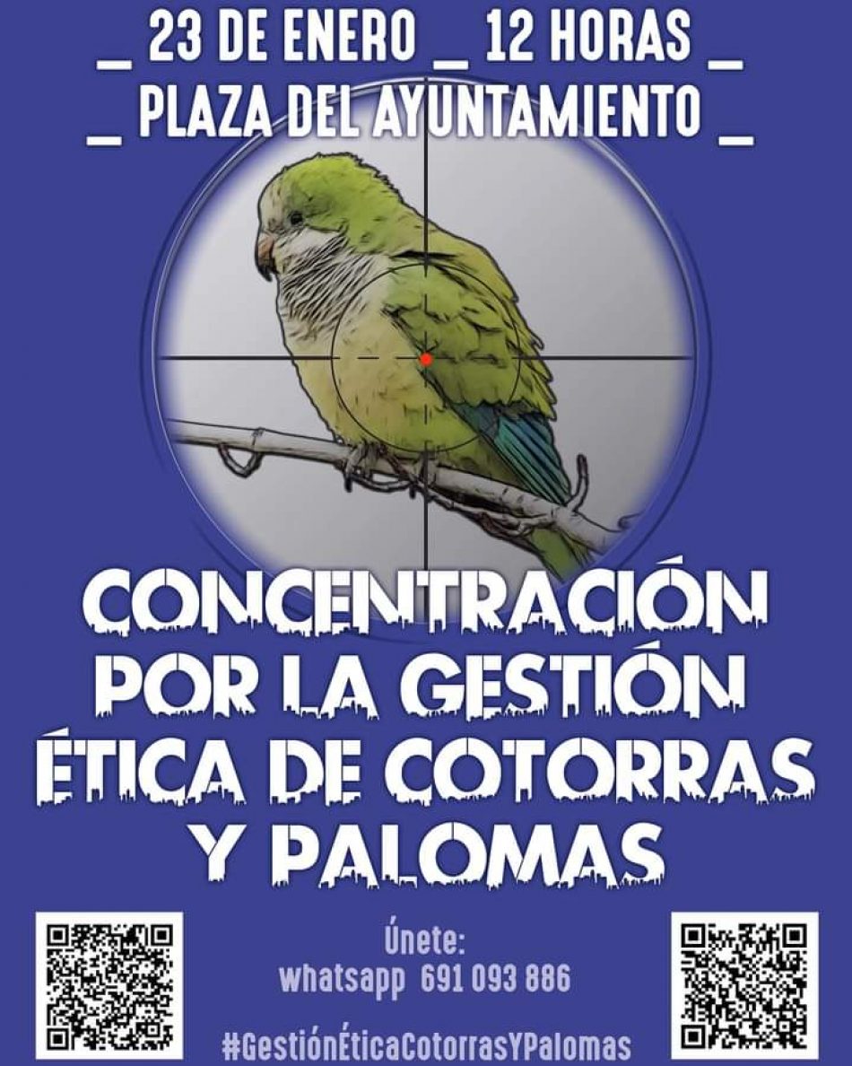 Organizan una concentración en Valencia por la protección de las cotorras y palomas a nivel nacional