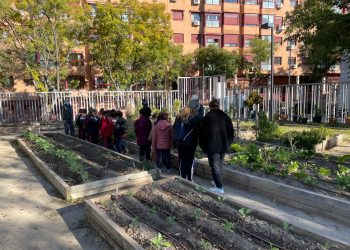 Los vecinos de Arganzuela se movilizan para impedir que la junta municipal desaloje el huerto urbano Las Vías