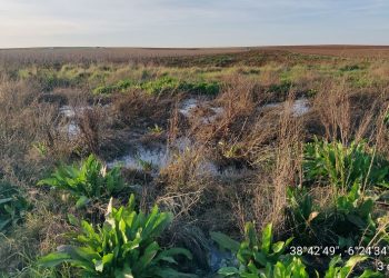 La Plataforma contra la contaminación de Almendralejo denuncia al SEPRONA por vertidos