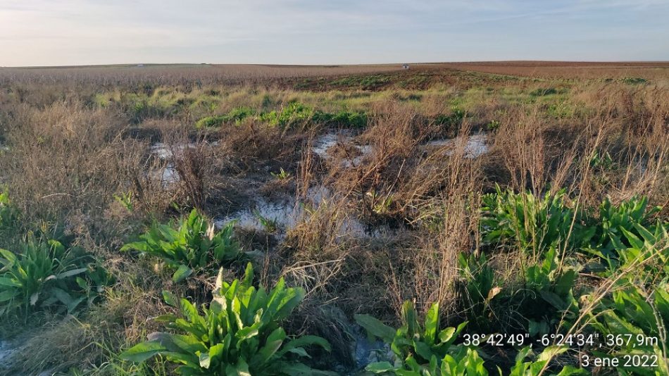 La Plataforma contra la contaminación de Almendralejo denuncia al SEPRONA por vertidos