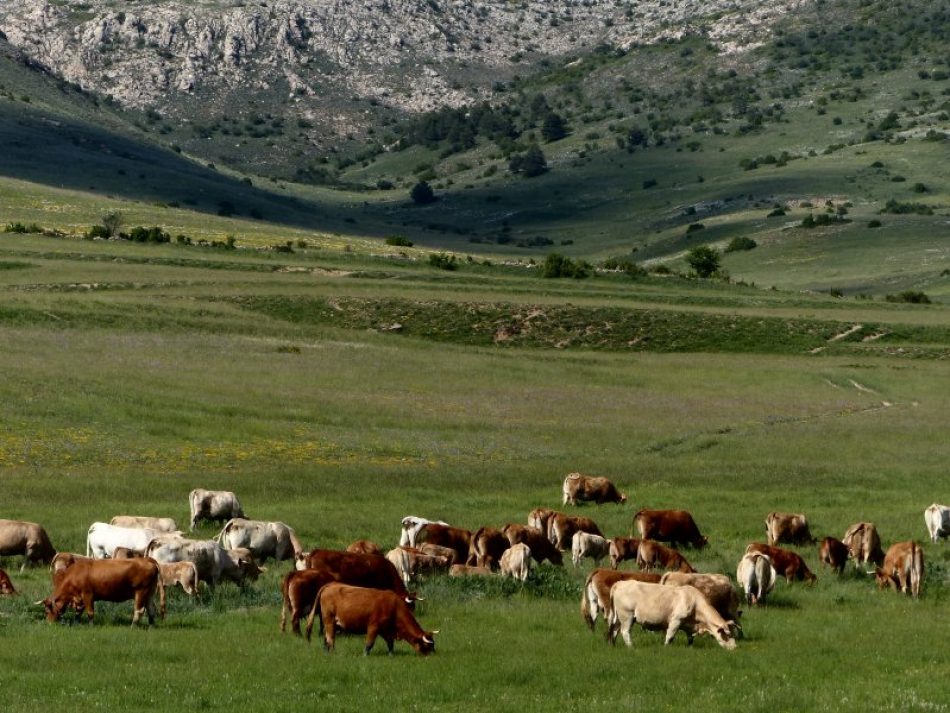 «Por un consumo de carne consciente, responsable y sostenible»