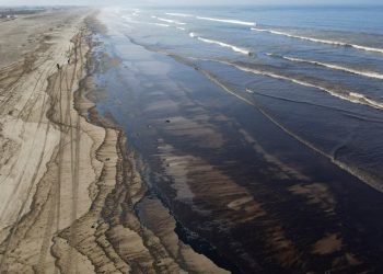 Uralde pide por carta a Josu Jon Imaz que se responsabilice del desastre ecológico de Repsol en Perú, y señala que se trata de un “ecocidio”