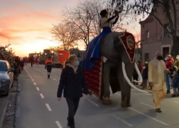 PACMA afea al Ayuntamiento de Medina del Campo que haya vuelto a usar animales en la cabalgata de Reyes Magos