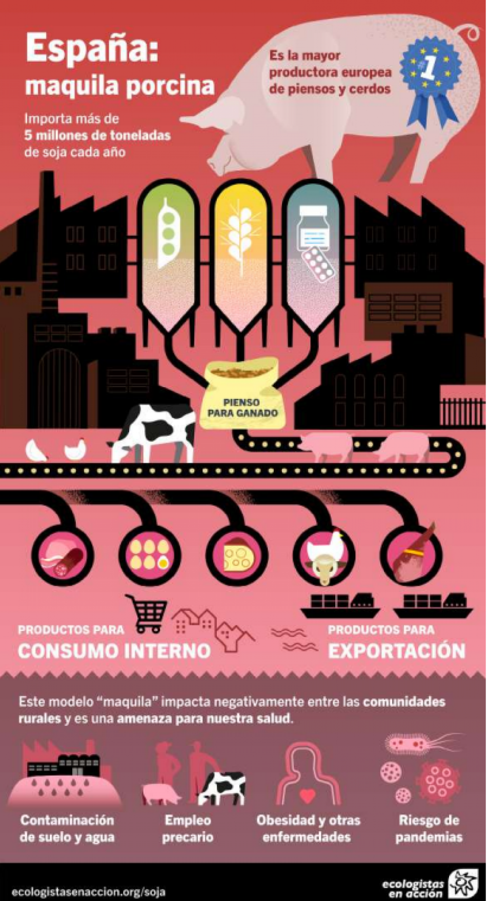 La producción de soja para ganadería industrial, elemento clave en la deforestación de ecosistemas tropicales