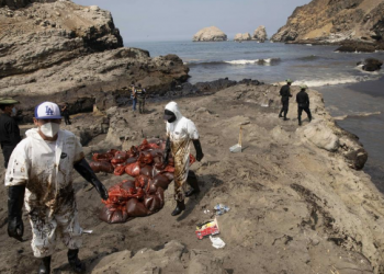 Ecologistas en Acción exige que Repsol asuma su responsabilidad por el derrame de petróleo en la costa peruana