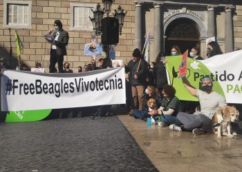 PACMA congrega a un millar de personas en Barcelona con gran apoyo internacional por el caso de los beagles