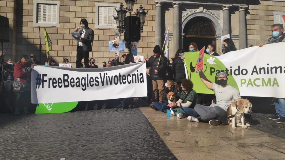 PACMA congrega a un millar de personas en Barcelona con gran apoyo internacional por el caso de los beagles