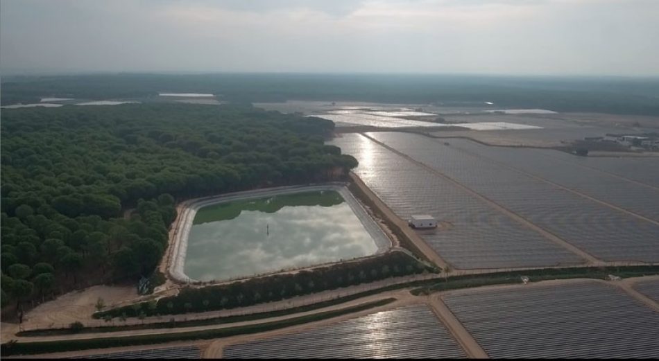 Verdes EQUO lleva al Parlamento europeo la propuesta de ampliación de las hectáreas de regadío en Doñana