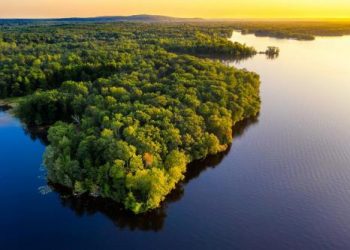 Cómo se relaciona la COP26 con la geopolítica de la Amazonía