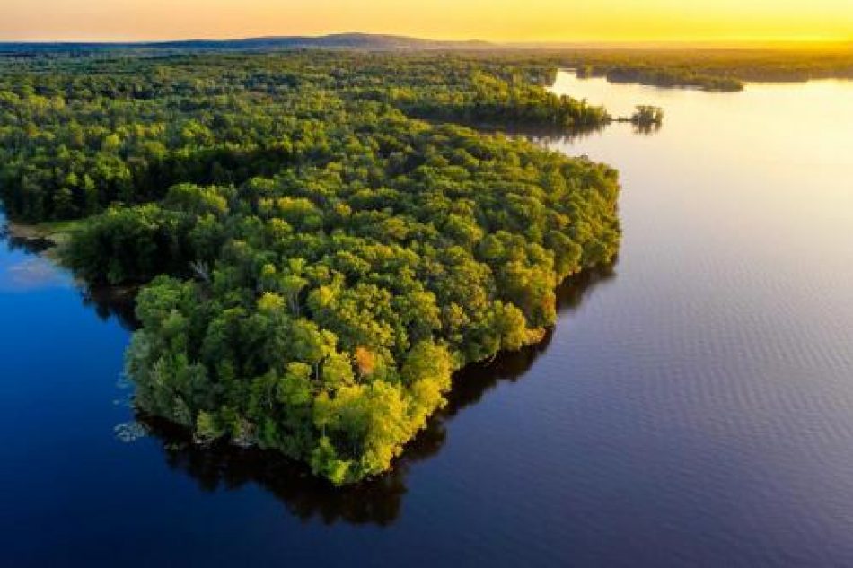 Cómo se relaciona la COP26 con la geopolítica de la Amazonía