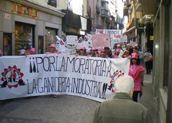 Podemos CLM cree que el debate sobre las macrogranjas “ha retratado al gobierno de Castilla-La Mancha y a los partidos de la región”