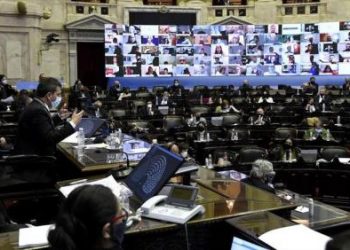 Argentina: Gobierno y oposición: perplejidades y coincidencias