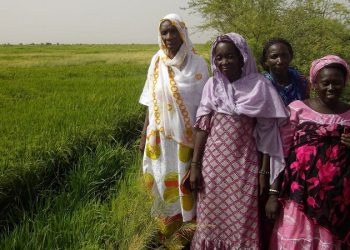África Occidental: temperaturas récord y desastres climáticos, mientras esperan los fondos para paliarlos