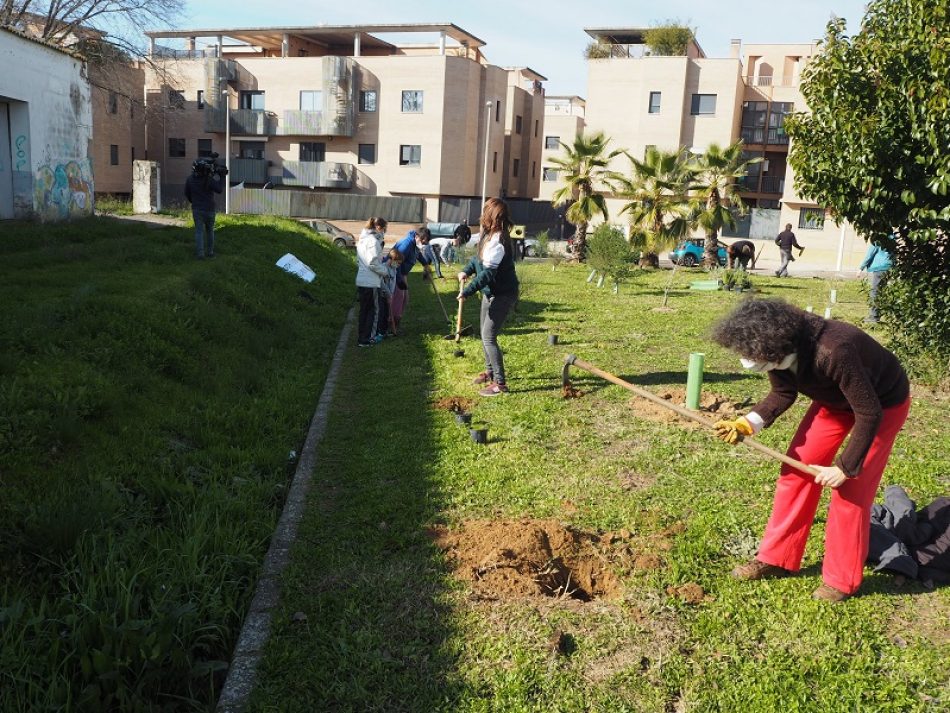 Ecologistas en Acción realizó el domingo una plantación popular de árboles en Mérida