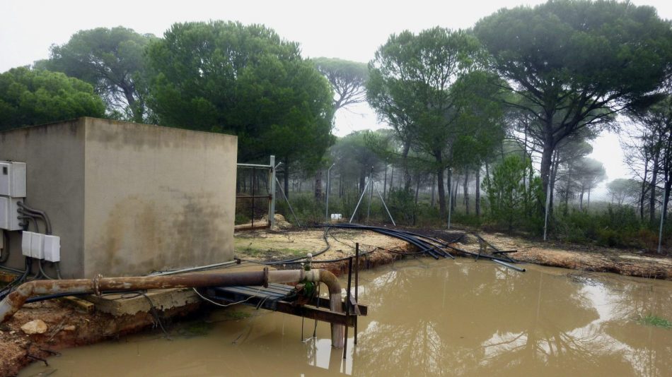 Alianza Verde reclama un plan de choque valiente contra el robo de agua en Doñana para garantizar su adecuada conservación