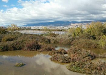 Verdes Equo Almería celebran el Día Mundial de los Humedales con preocupación por su estado de degradación y futuro amenazado