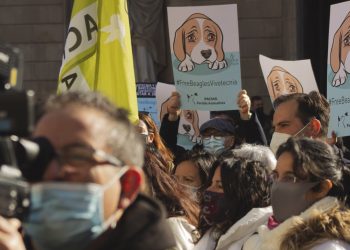 PACMA acusa al Parc Científic de Barcelona de no querer salvar a los beagles de Vivotecnia tras una reunión infructuosa