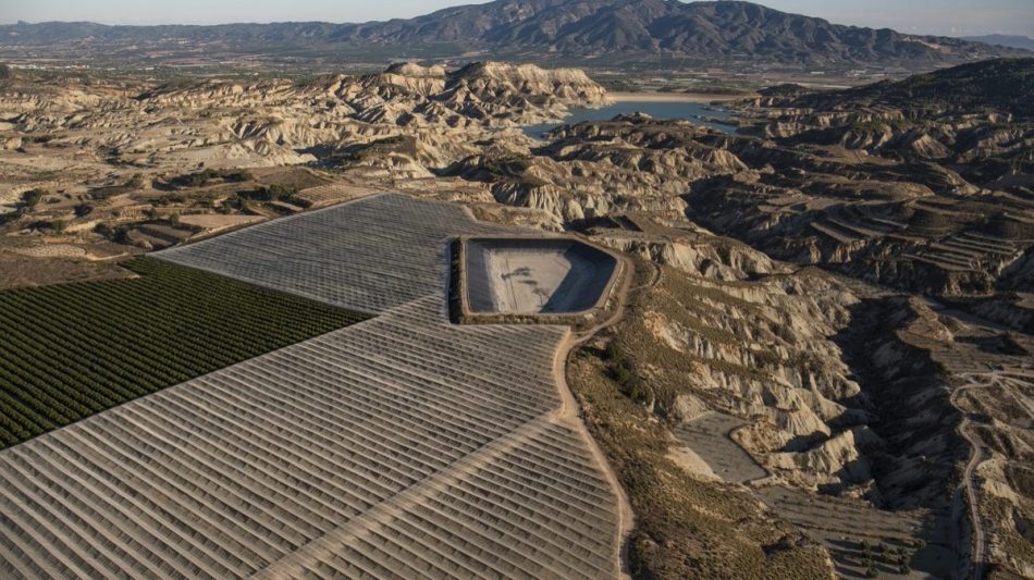 Denuncian que los nuevos planes hidrológicos no frenan el derroche de agua para regadío, ni toman medidas serias contra la contaminación del agua