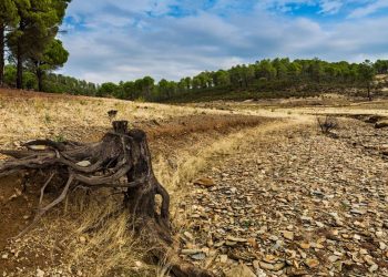 El 2022 fue el sexto más seco, con un 16 % de lluvias por debajo de lo normal