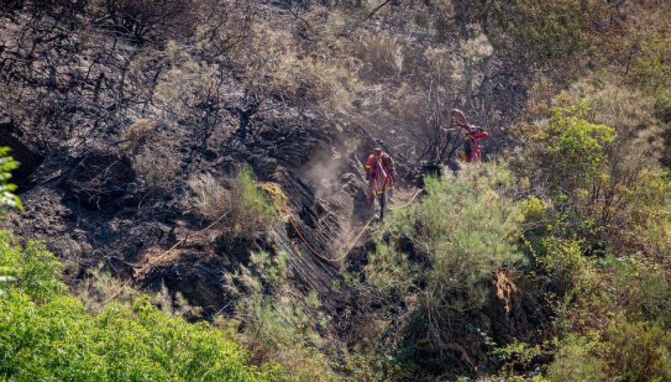 Un incendio en Lubián moviliza medios de Castilla y León y Galicia