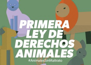 Alianza Verde da la bienvenida a la nueva a la nueva Ley de Protección Animal “coherente con la creciente sensibilidad española hacia los derechos de los animales”