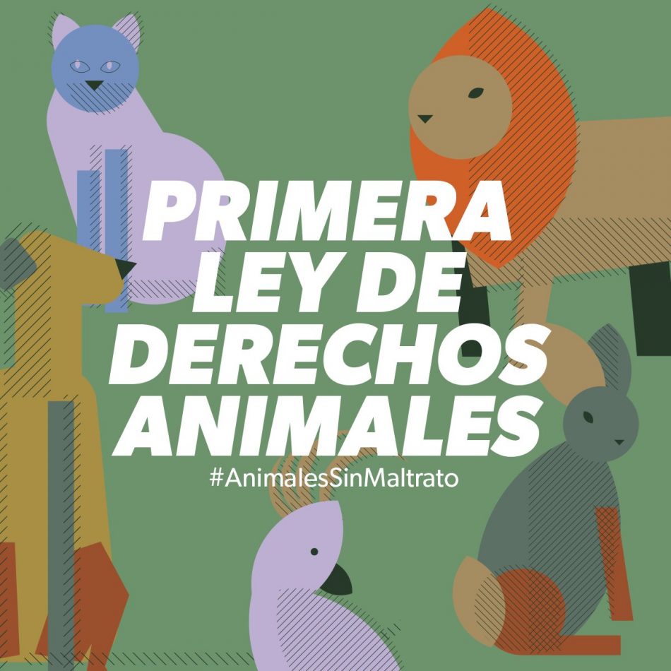 Alianza Verde da la bienvenida a la nueva a la nueva Ley de Protección Animal “coherente con la creciente sensibilidad española hacia los derechos de los animales”