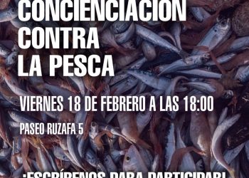 «Concienciación contra la pesca» en Valencia: viernes 18 de febrero, acción para visibilizar la realidad de la pesca